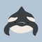 Cute flat killer whale drawing. Adorable little cartoon orca vector illustration. Childish rare animal wild ocean concept with