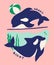 Cute flat killer whale drawing. Adorable little cartoon orca vector illustration. Childish rare animal in wild ocean. Save orcas,