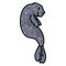 Cute floating dark grey seal vector. Ocean sea life clipart.