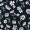 Cute Floral Daisy print - seamless vector background
