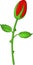 Cute flower rose cartoon posing on white background