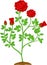 Cute flower rose cartoon on white background