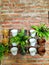 Cute flowerpot, ideas garden decoration on brick wall