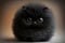 Cute fluffy black cat with big eyes on a brown background