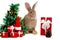 Cute fluffy brown rabbit wears Santa hat with decorate Christmas tree, red gift box present on white background. Merry Christmas