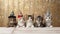 Cute fluffy cats peek out from the table in New Year\\\'s hats, festive garlands and bokeh on the image