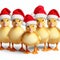 cute fluffy ducklings with santa hats