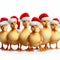 cute fluffy ducklings with santa hats on white