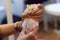 Cute Fluffy Exotic Young Orange White Syrian Golden Hamster Mesocricetus auratus stays still in girl`s hand. Putty in hands, id