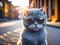 Cute fluffy grey british shorthair kitten wearing sunglasses on city on background. Street cat, vacation relax concept. Generative