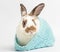 A cute, fluffy little rabbit hiding in a blue knitting hat.