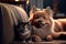 cute fluffy lovely happy cat and dog lies together. Illustration Generative AI