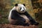 Cute fluffy panda sitting on the ground Generative AI