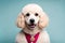 cute fluffy poodle puppy portrait in adorable barbie style