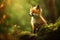 Cute fluffy red fox youngling in dreamy autumn forest on sunny evening. Wild animals in nature