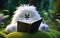 Cute fluffy Yeti in kawaii reading a book