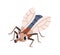 Cute fly insect. Happy sweet bug with wings and proboscis. Childish character with smiling face expression, positive