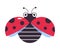 Cute flying ladybug. Funny little ladybird insect cartoon vector illustration