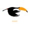 Cute flying toucan bird vector color characters set. Sketch robin in black, orange colour