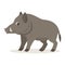 Cute forest animal, gray boar icon isolated on white background