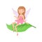 Cute forest fairy sitting on green leaf. Adorable girl with cute elf ears and little wings dressed in fancy pink dress