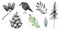 Cute forest icons. Scandinavian watercolor symbols. Woodland decoration illustration. Forest wildlife set graphics.