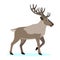 Cute forest polar animal, cartoon caribou reindeer with long horns