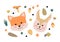 Cute forest woodland animals including fox and squirrel. Vector illustration of forest animal heads and faces