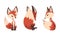 Cute Fox Character with Bushy Brush Tail and Triangular Ears Vector Set