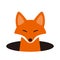 Cute fox come out the hole, watching vector illustration