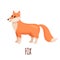 Cute Fox in flat style.