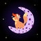 Cute fox in flower wreath stand on moon night sky