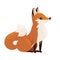 Cute fox. Onivorous mammals, family Canidae. Cartoon animal design. Flat  illustration isolated on white background. Forest