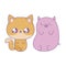 cute fox with piggy baby animals kawaii style