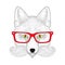 Cute fox portrait with french mustache, beard, glasses. Hand drawn wild anthropomorphic animal face, vector illustration for