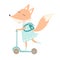 Cute fox on scoter