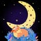 Cute fox sleep under moon starry sky. Good Night