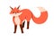 Cute fox standing with fluffy furry tail. Wild orange animal cub. Funny adorable sweet forest character portrait