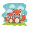 cute foxes couple characters vector illustration