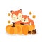 Cute foxes on pumkins in autumn.