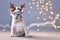 Cute French Bulldog dog puppy wearing a seasonal Christmas reindeer antler headband with autumn berries  w