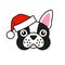 Cute French bulldog in santa claus hat