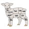 Cute french farmhouse lamb butcher chart vector clipart. Hand drawn shabby chic style country farm kitchen. Illustration