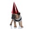 Cute frenchie wearing red helmet and costume