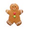 Cute fresh gingerbread man isolated on white