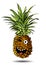 Cute fresh Pineapple cartoon character emotion winking