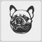 Cute friendly french bulldog portrait. Emblem for Pets Shop. Print design for t-shirts.