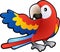 Cute Friendly Macaw Parrot Ill