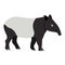 Cute friendly wild animal, black and white tapir icon