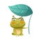 Cute frog sitting under the lotus leaf. Green funny toad character d cartoon vector illustration